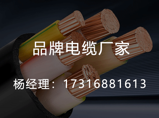 中醫進社區:老年群體春季養生講座受歡